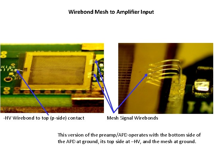 Wirebond Mesh to Amplifier Input -HV Wirebond to top (p-side) contact Mesh Signal Wirebonds