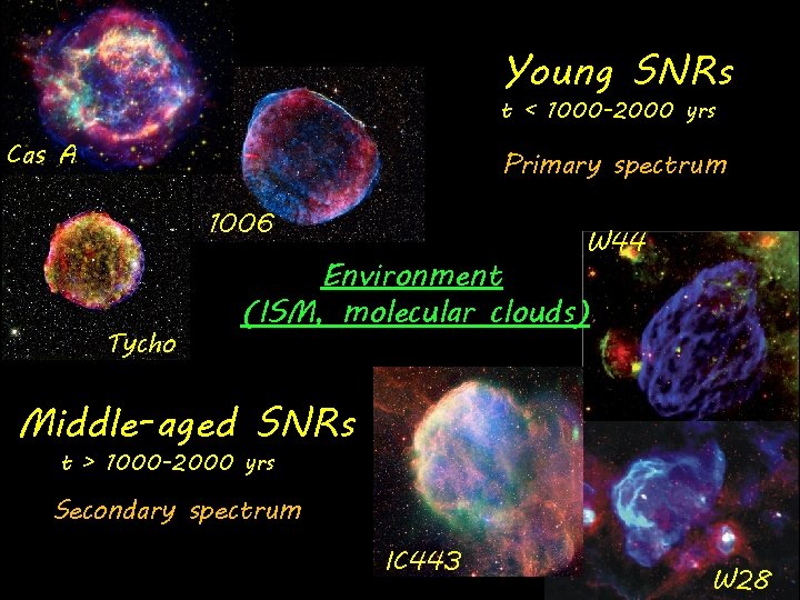 Young SNRs t < 1000 -2000 yrs Cas A Primary spectrum 1006 Tycho W