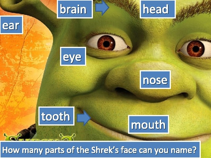 ear brain head eye nose tooth mouth How many parts of the Shrek’s face