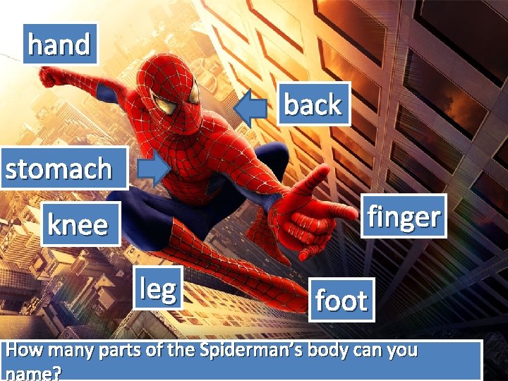 hand back stomach finger knee leg foot How many parts of the Spiderman’s body