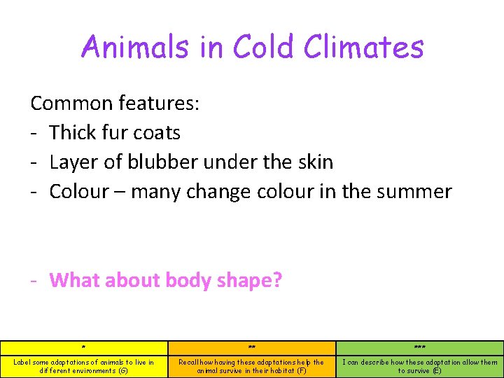 Animals in Cold Climates Common features: - Thick fur coats - Layer of blubber Animals in Cold Climates Common features: - Thick fur coats - Layer of blubber