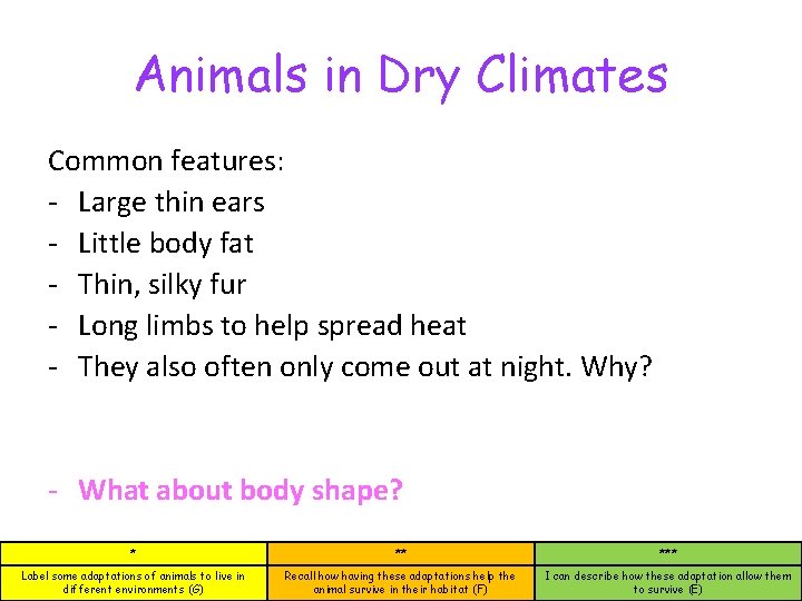 Animals in Dry Climates Common features: - Large thin ears - Little body fat