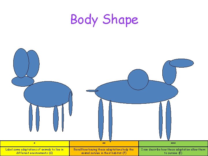 Body Shape * ** *** Label some adaptations of animals to live in different