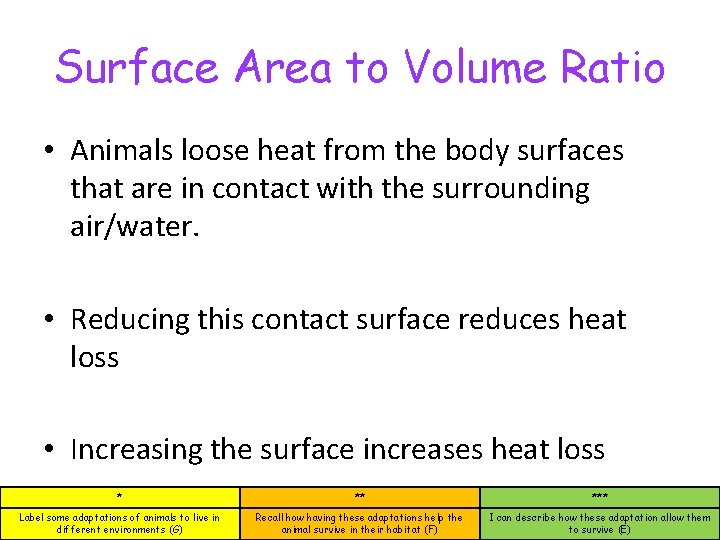 Surface Area to Volume Ratio • Animals loose heat from the body surfaces that