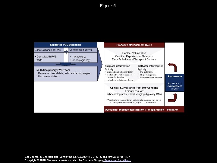 Figure 5 The Journal of Thoracic and Cardiovascular Surgery DOI: (10. 1016/j. jtcvs. 2020.