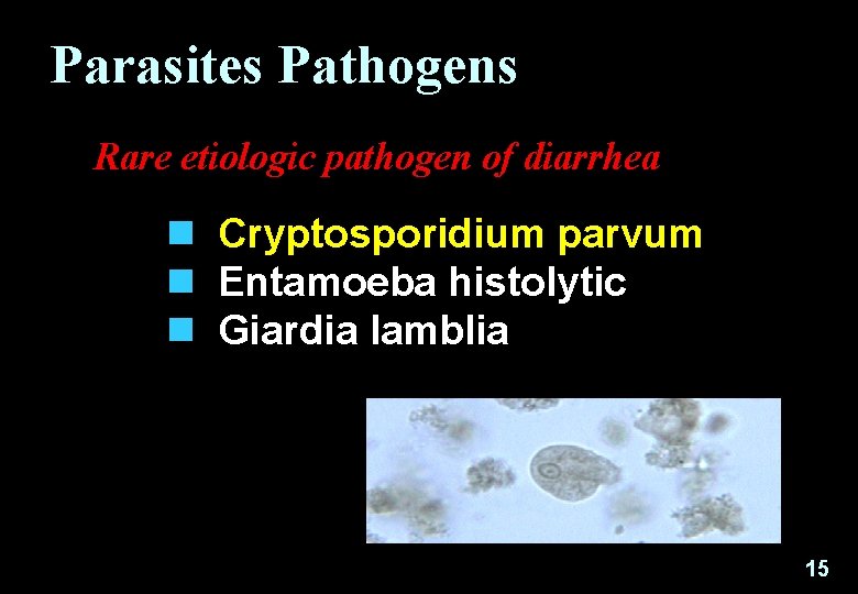 Parasites Pathogens Rare etiologic pathogen of diarrhea n Cryptosporidium parvum n Entamoeba histolytic n