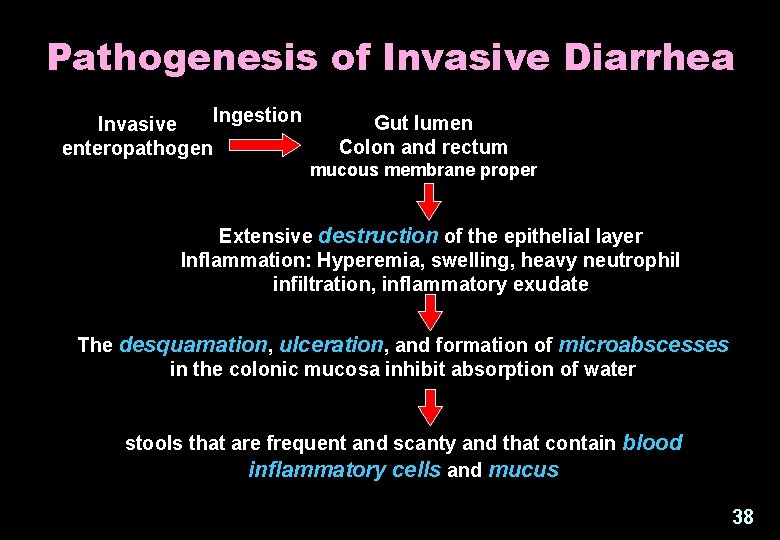 Pathogenesis of Invasive Diarrhea Ingestion Invasive enteropathogen Gut lumen Colon and rectum mucous membrane