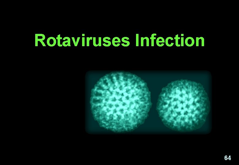 Rotaviruses Infection 64 