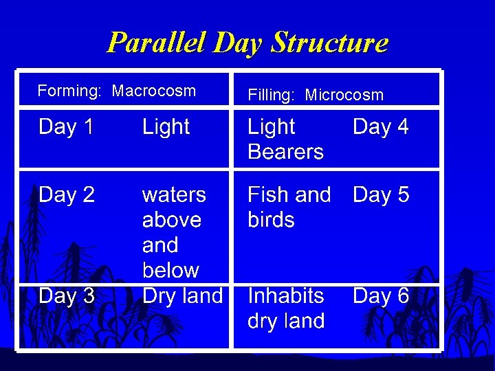 Parallel Day Structure Forming: Macrocosm Filling: Microcosm 