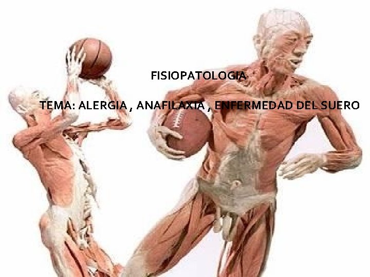 FISIOPATOLOGIA TEMA: ALERGIA , ANAFILAXIA , ENFERMEDAD DEL SUERO 