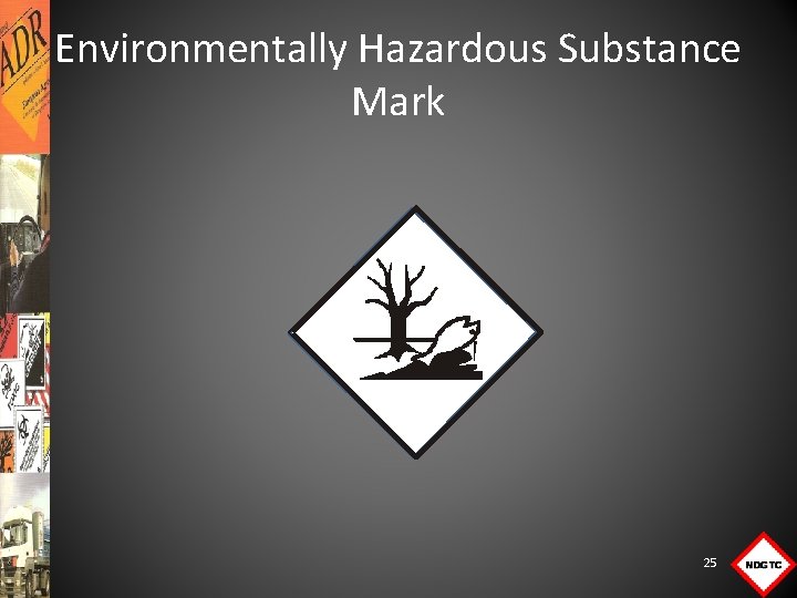 Environmentally Hazardous Substance Mark 25 