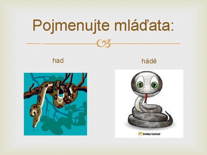 Pojmenujte mláďata: had hádě 