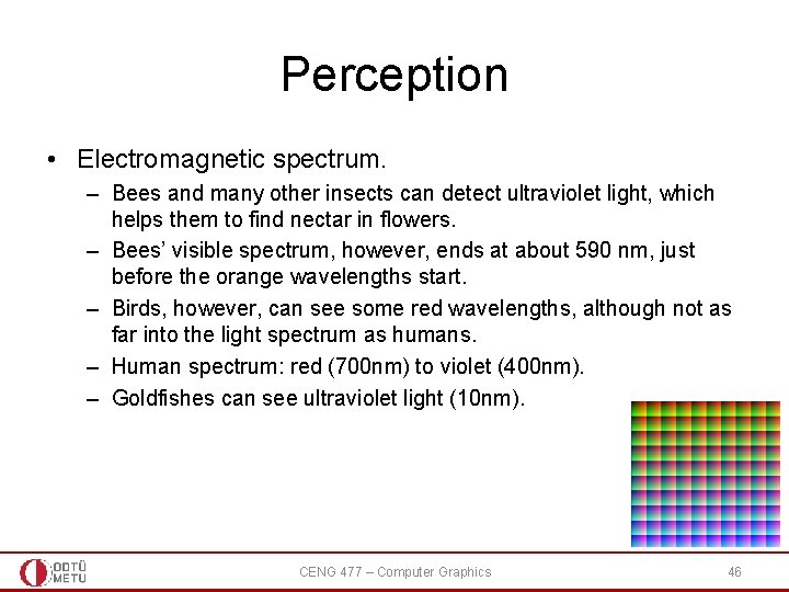 Perception • Electromagnetic spectrum. – Bees and many other insects can detect ultraviolet light,