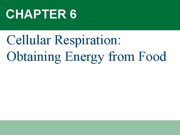 CHAPTER 6 Cellular Respiration: Obtaining Energy from Food 