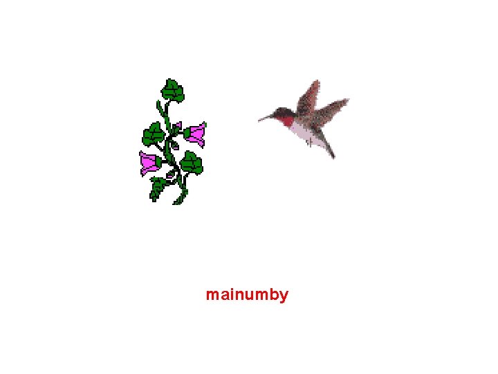 mainumby 