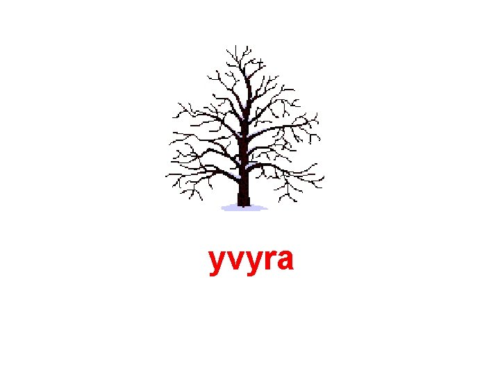 yvyra 