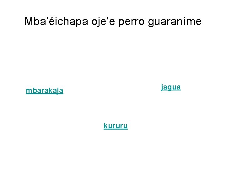 Mba’éichapa oje’e perro guaraníme jagua mbarakaja kururu 