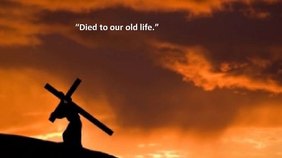 “Died to our old life. ” 