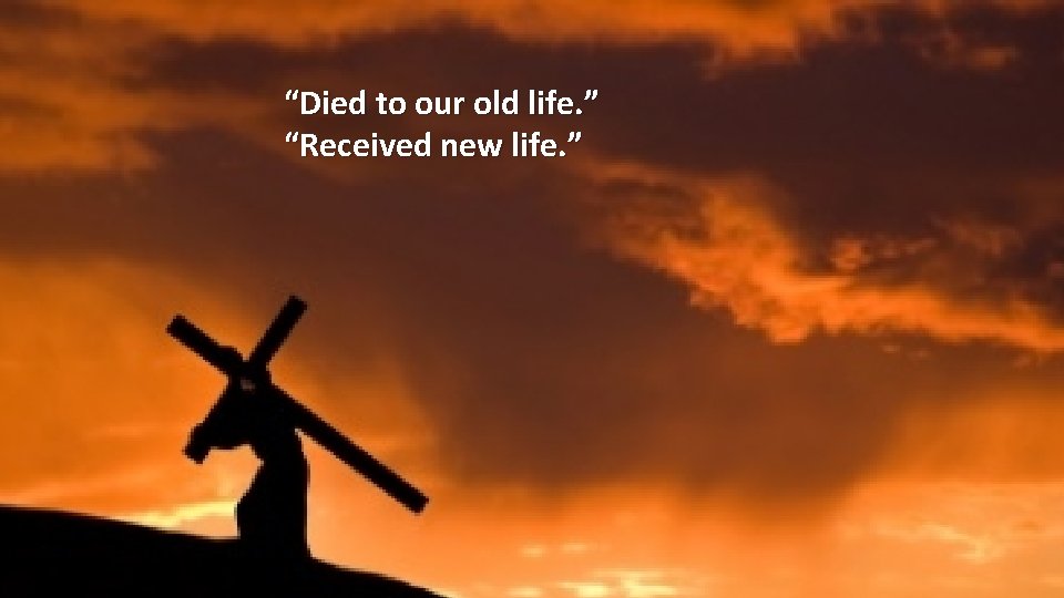 “Died to our old life. ” “Received new life. ” 