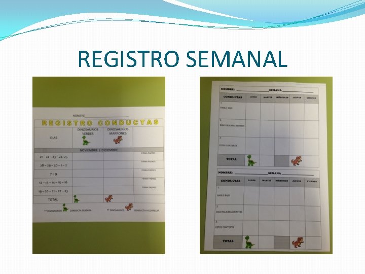REGISTRO SEMANAL REGISTRO SEMANAL