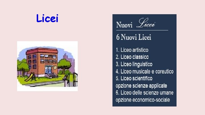 Licei 