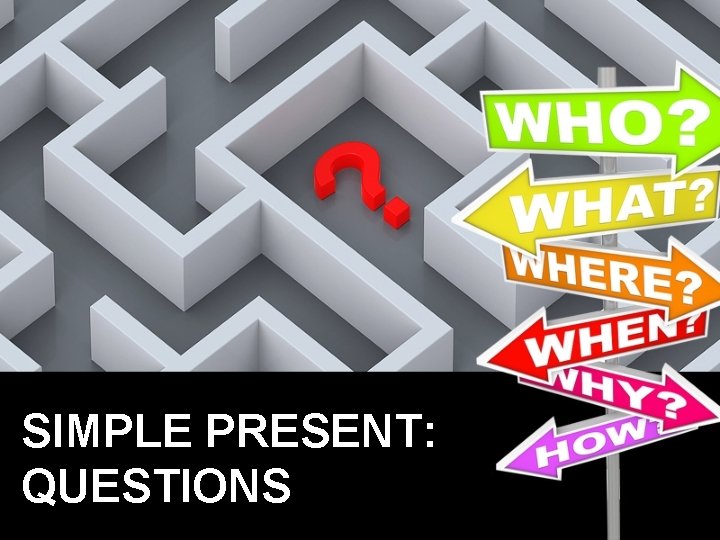 SIMPLE PRESENT: QUESTIONS 