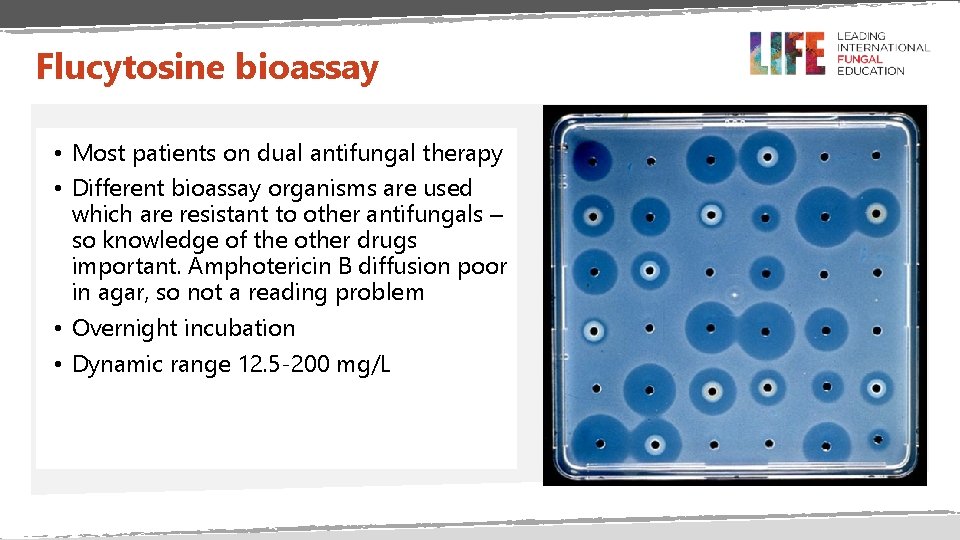 Flucytosine bioassay • Most patients on dual antifungal therapy • Different bioassay organisms are