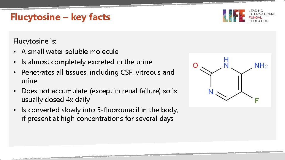 Flucytosine – key facts Flucytosine is: • A small water soluble molecule • Is