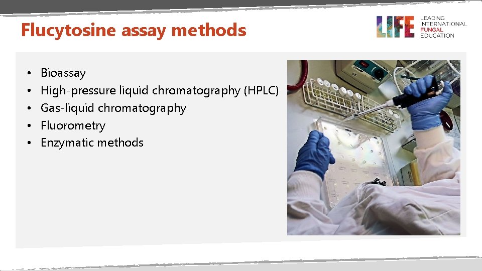 Flucytosine assay methods • • • Bioassay High-pressure liquid chromatography (HPLC) Gas-liquid chromatography Fluorometry