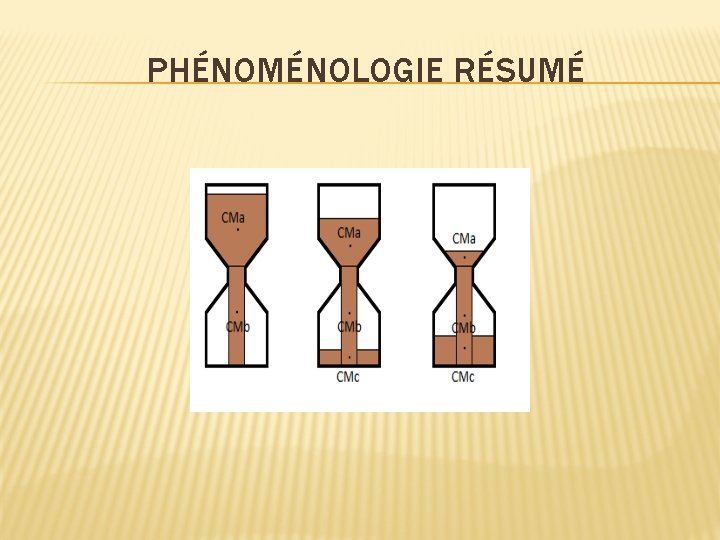 PHÉNOMÉNOLOGIE RÉSUMÉ 