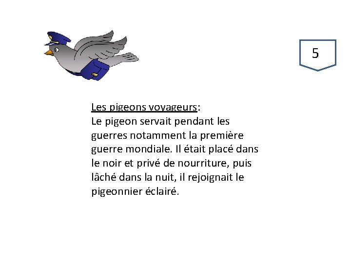 57 Les pigeons voyageurs: Le pigeon servait pendant les guerres notamment la première guerre