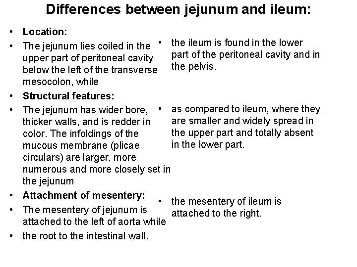 Differences between jejunum and ileum: • Location: • The jejunum lies coiled in the