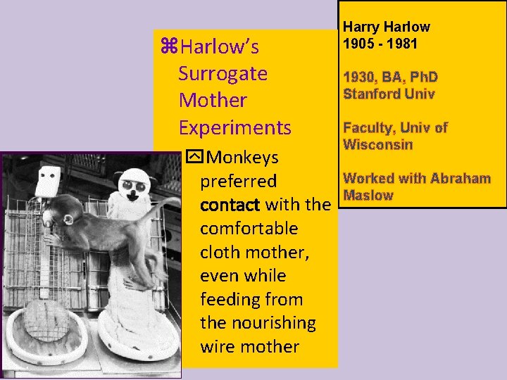 z. Harlow’s Surrogate Mother Experiments y. Monkeys preferred contact with the comfortable cloth mother,
