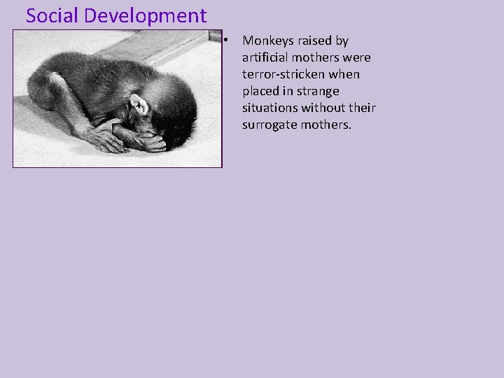 Social Development • Monkeys raised by artificial mothers were terror-stricken when placed in strange