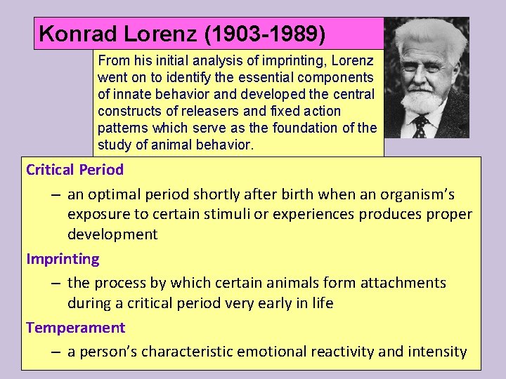 Konrad Lorenz (1903 -1989) From his initial analysis of imprinting, Lorenz went on to