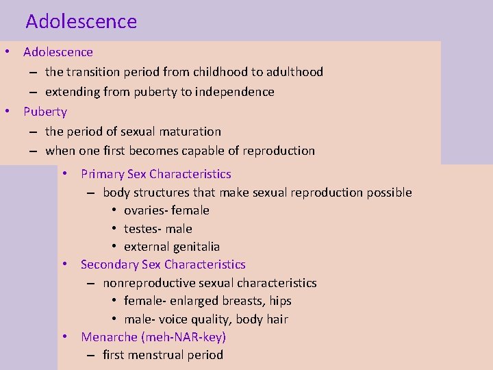 Adolescence • Adolescence – the transition period from childhood to adulthood – extending from