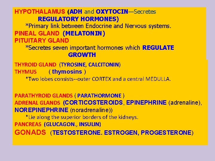 HYPOTHALAMUS (ADH and OXYTOCIN—Secretes REGULATORY HORMONES) *Primary link between Endocrine and Nervous systems. PINEAL
