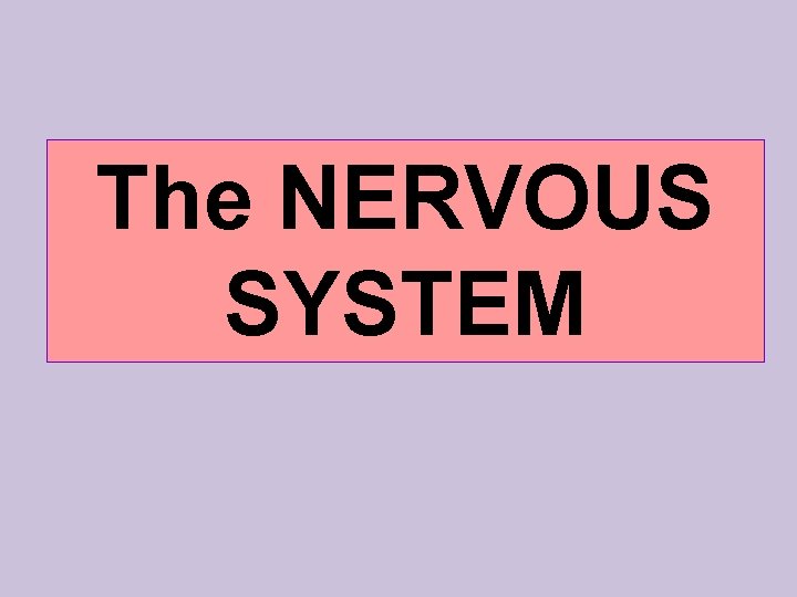 The NERVOUS SYSTEM 