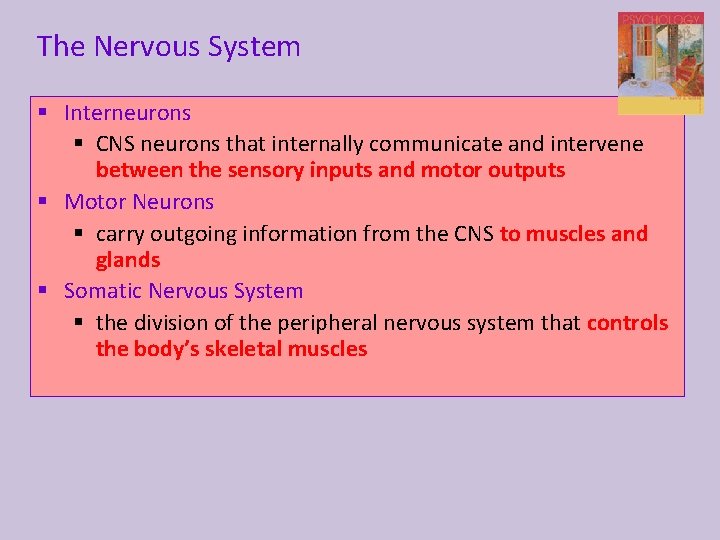 The Nervous System § Interneurons § CNS neurons that internally communicate and intervene between