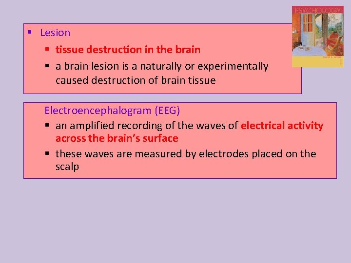 § Lesion § tissue destruction in the brain § a brain lesion is a
