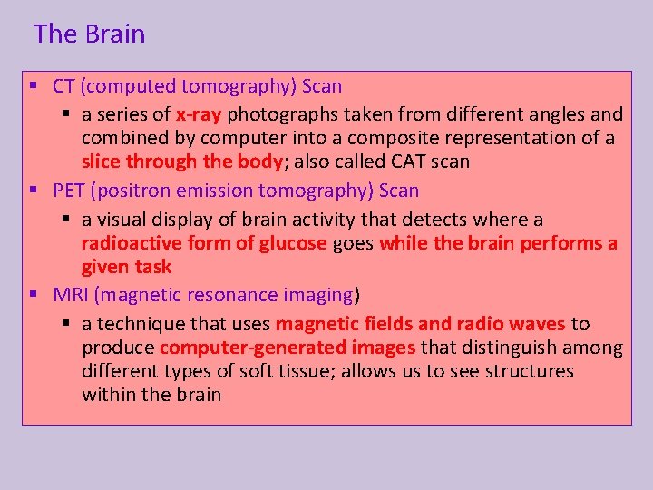 The Brain § CT (computed tomography) Scan § a series of x-ray photographs taken