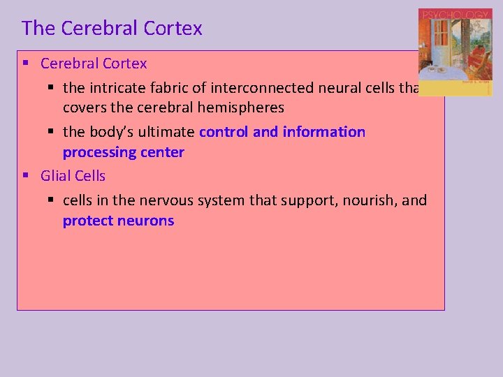 The Cerebral Cortex § the intricate fabric of interconnected neural cells that covers the