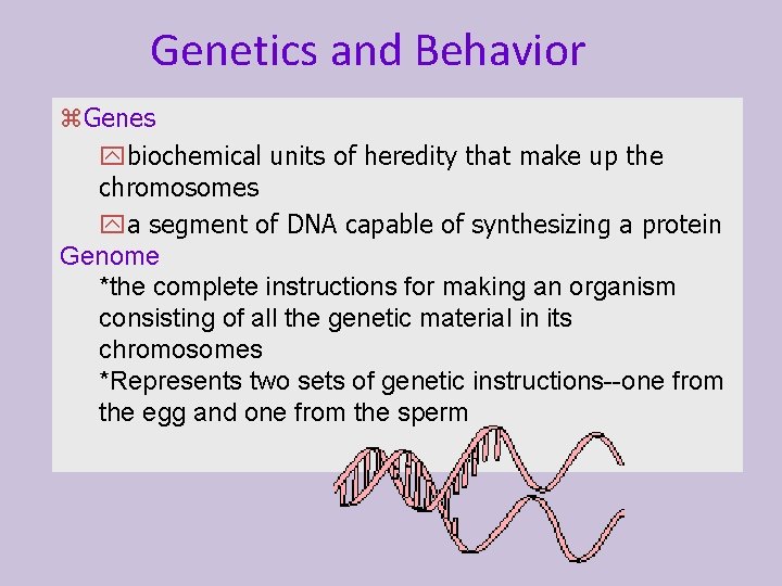 Genetics and Behavior z. Genes ybiochemical units of heredity that make up the chromosomes