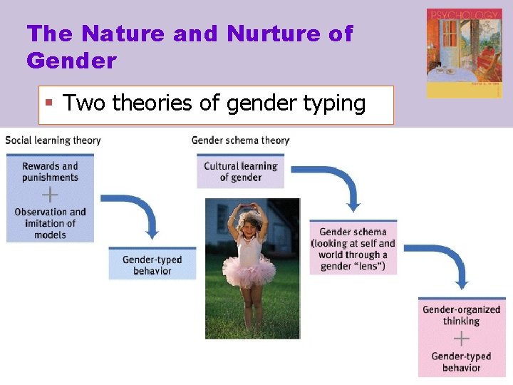 The Nature and Nurture of Gender § Two theories of gender typing 