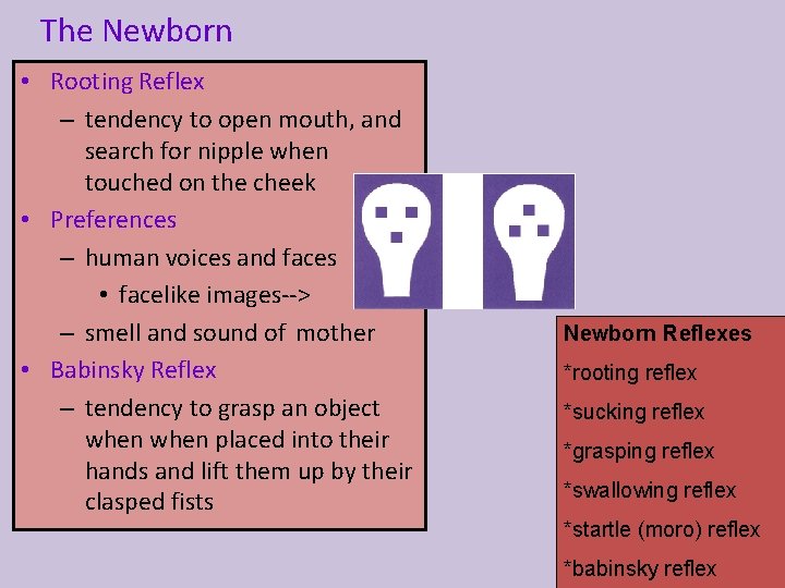 The Newborn • Rooting Reflex – tendency to open mouth, and search for nipple