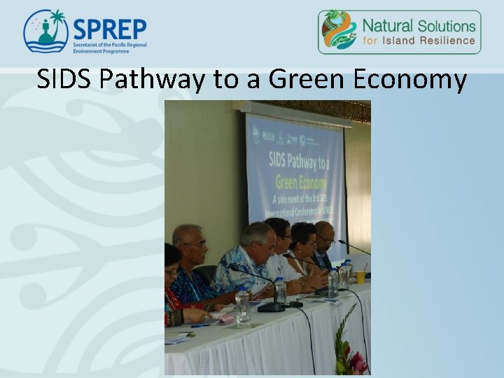 SIDS Pathway to a Green Economy SIDS Pathway to a Green Economy