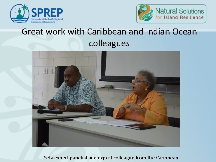 Great work with Caribbean and Indian Ocean colleagues Sefa expert panelist and expert colleague Great work with Caribbean and Indian Ocean colleagues Sefa expert panelist and expert colleague