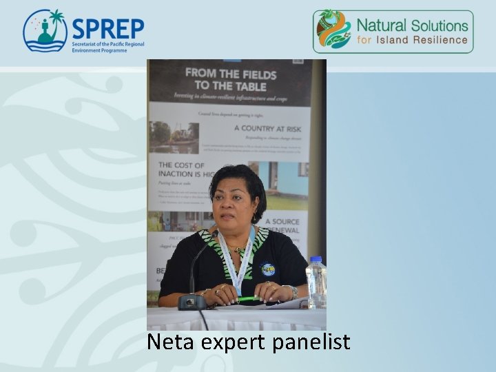Neta expert panelist Neta expert panelist