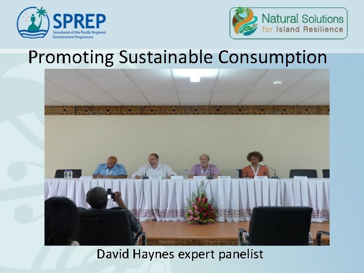 Promoting Sustainable Consumption David Haynes expert panelist Promoting Sustainable Consumption David Haynes expert panelist