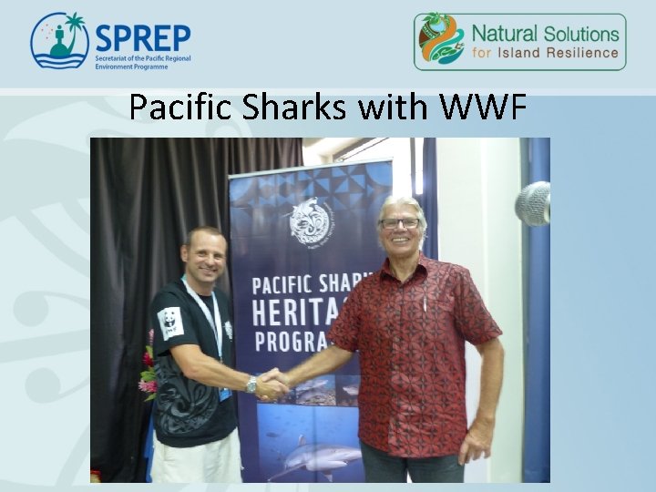 Pacific Sharks with WWF Pacific Sharks with WWF